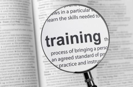 Carnival Expands Training for Home-Based Agents